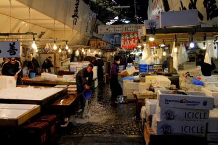 largest fish market in japan