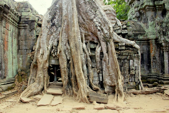tree-covered temples