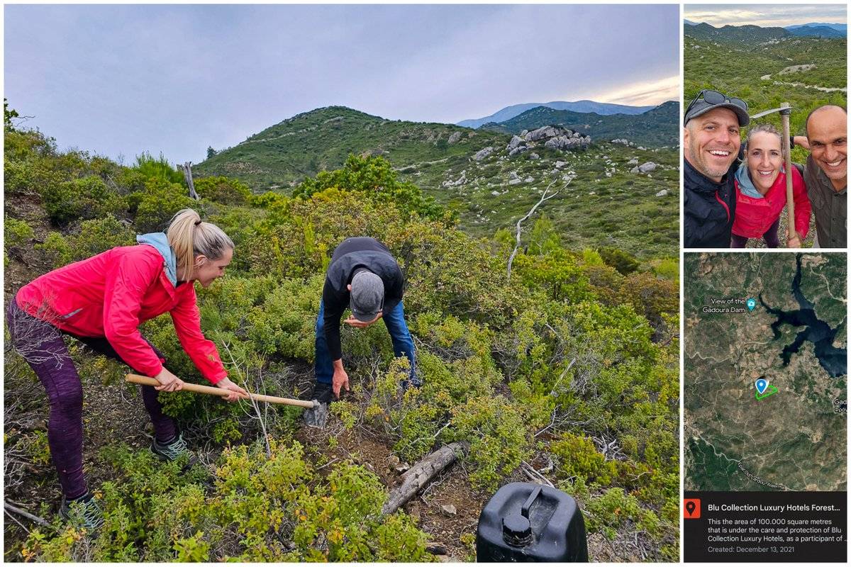 Reforesting Rhodes, Dodecanese Greece